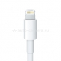 Оригинальный переходник Apple Lightning to VGA Adapter (MD825ZM/A)